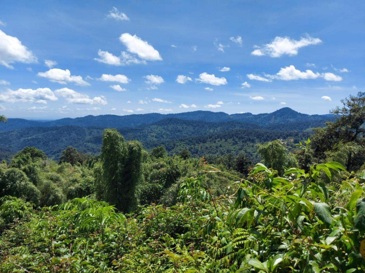 Kiamuturi Ranges View Lodge Staycation מראה חיצוני תמונה
